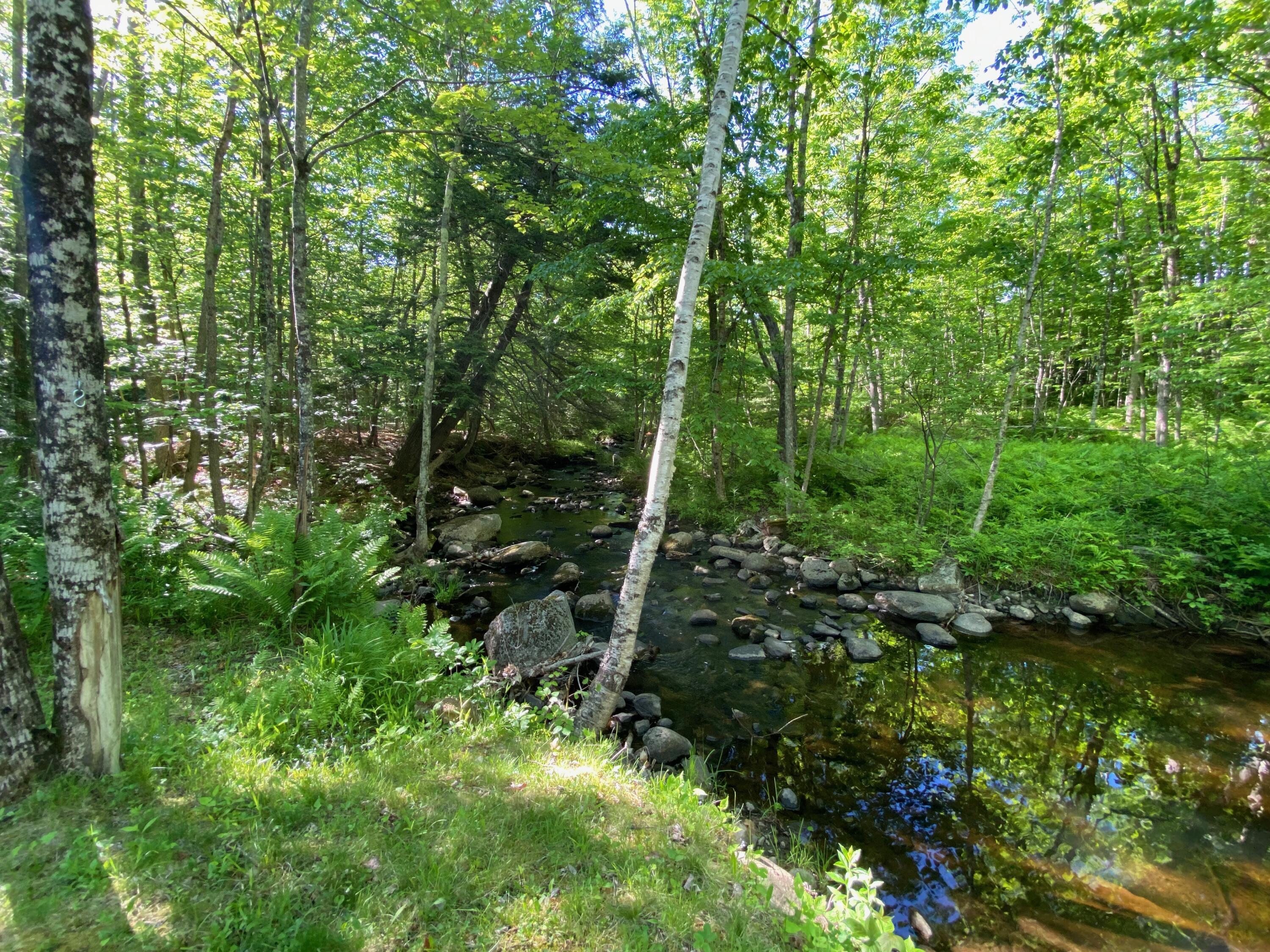 852 Augusta Road Rome, ME 04963 - Photo 5 of 61 BROOK