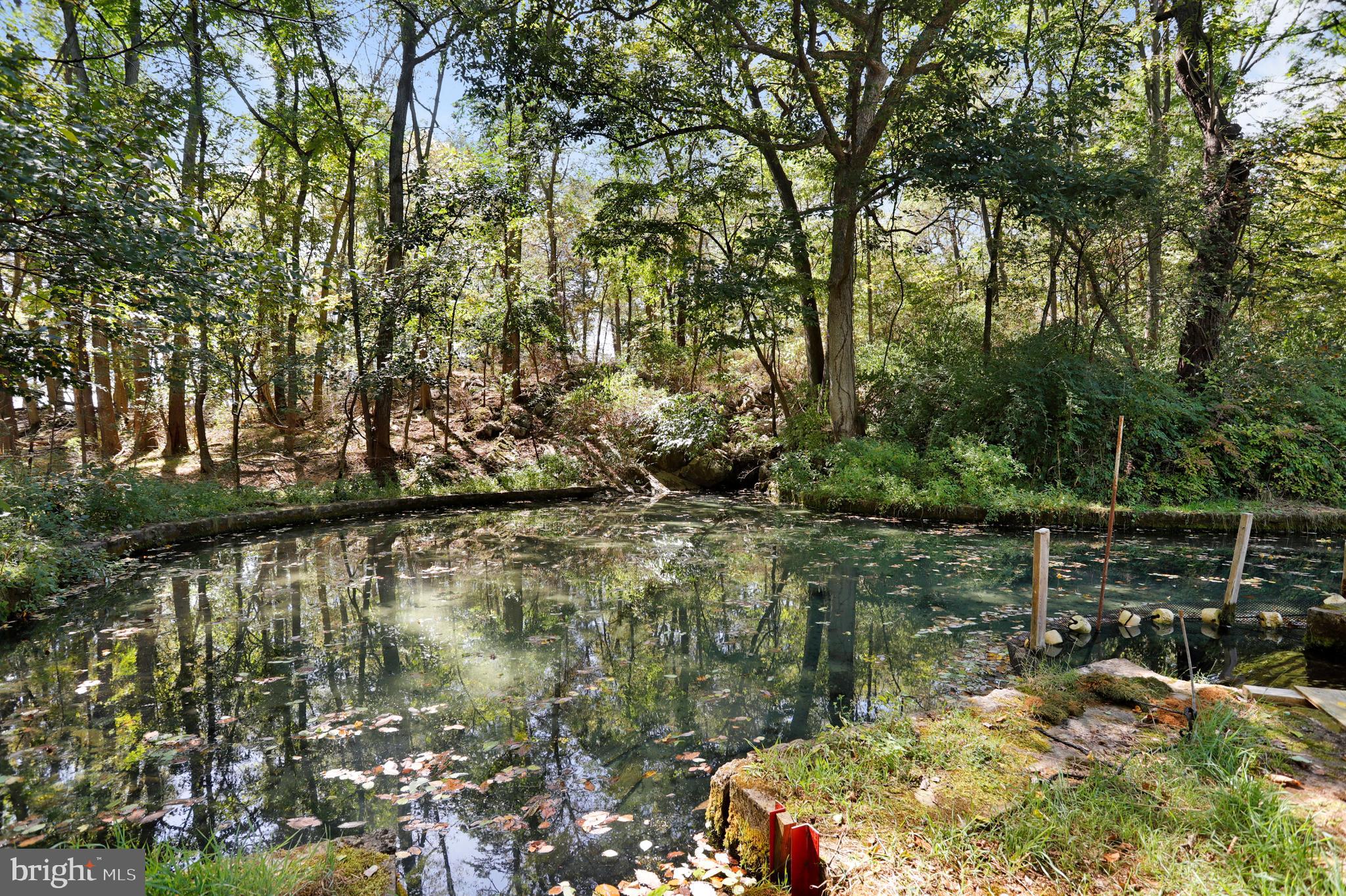 14333 Spickler Road Clear Spring, MD 21722 - Photo 45 of 46
