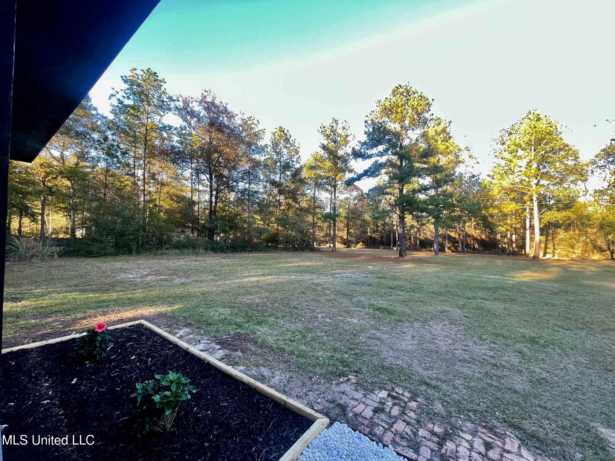 372 Flournoy Road Lucedale, MS 39452 - Photo 21 of 23 IMG_4841