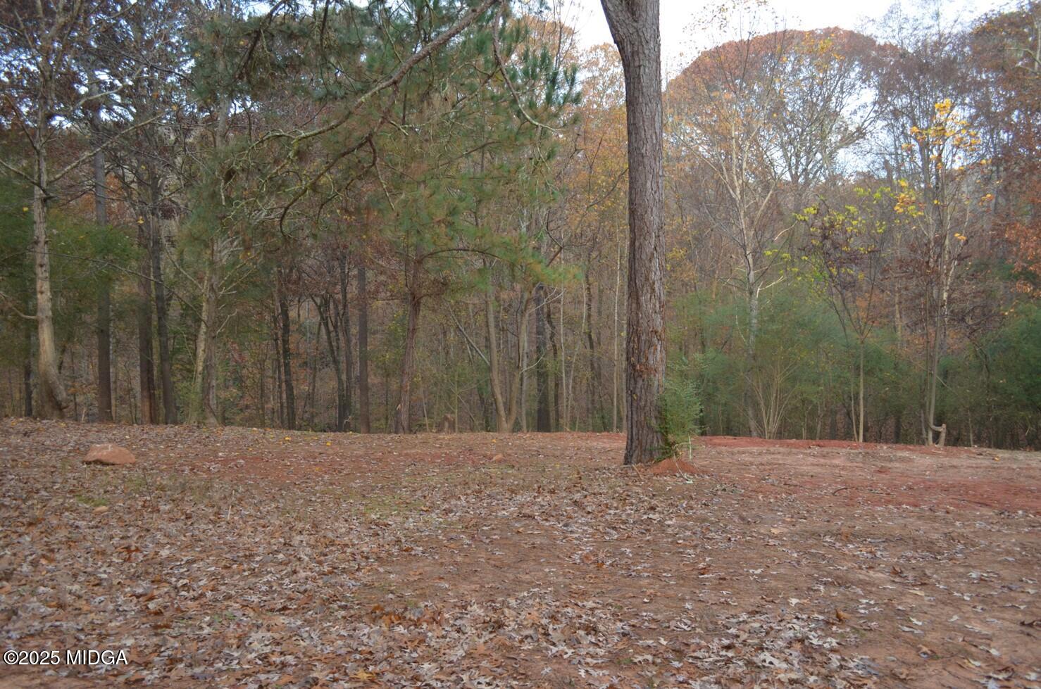 95 Big Buck Trail Jackson, GA 30233 - Photo 19 of 19 19