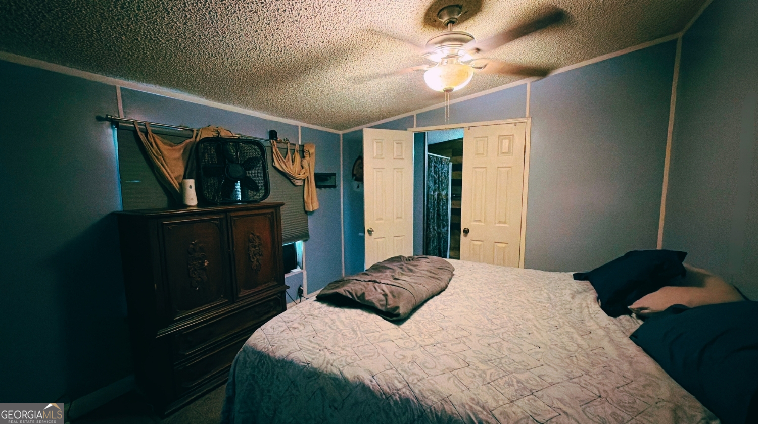 366 Liberty Hill Road Milner, GA 30257 - Photo 5 of 13