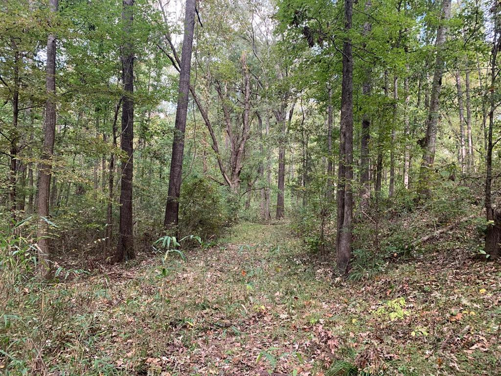 1109 White Road Natchez, MS 39120 - Photo 1 of 30 Main View