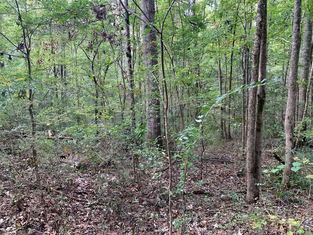 1109 White Road Natchez, MS 39120 - Photo 20 of 30 Photo 20