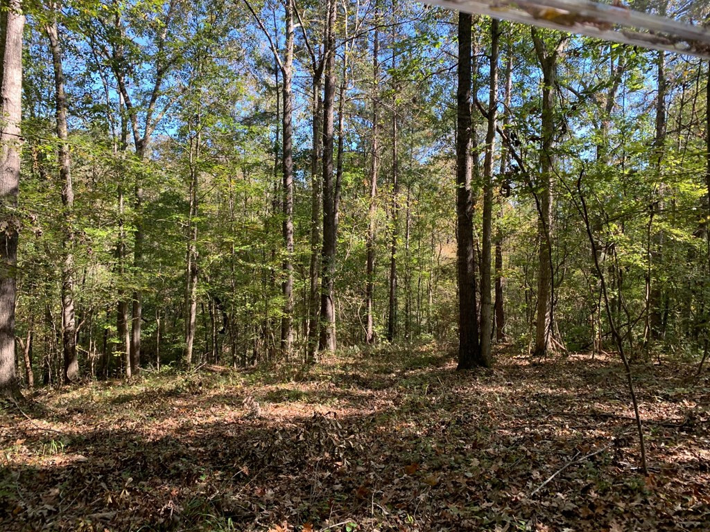 1109 White Road Natchez, MS 39120 - Photo 2 of 30 Photo 2