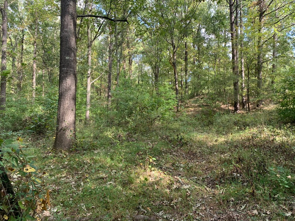 1109 White Road Natchez, MS 39120 - Photo 24 of 30 Photo 24