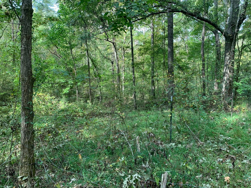 1109 White Road Natchez, MS 39120 - Photo 25 of 30 Photo 25