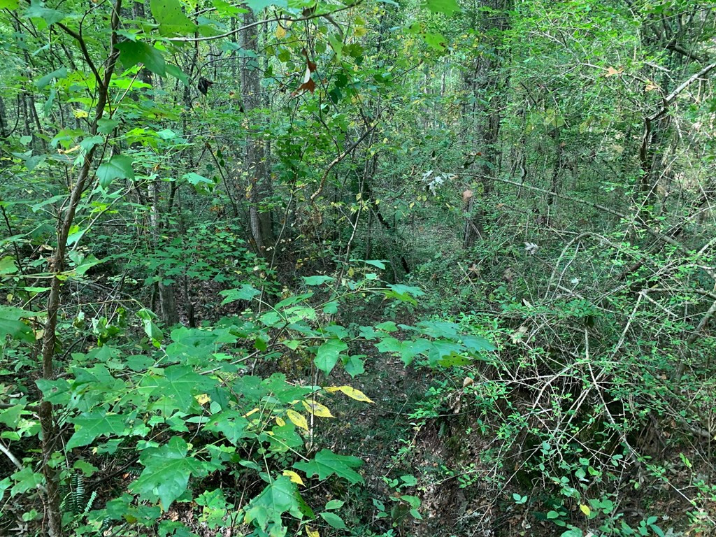1109 White Road Natchez, MS 39120 - Photo 27 of 30 Photo 27