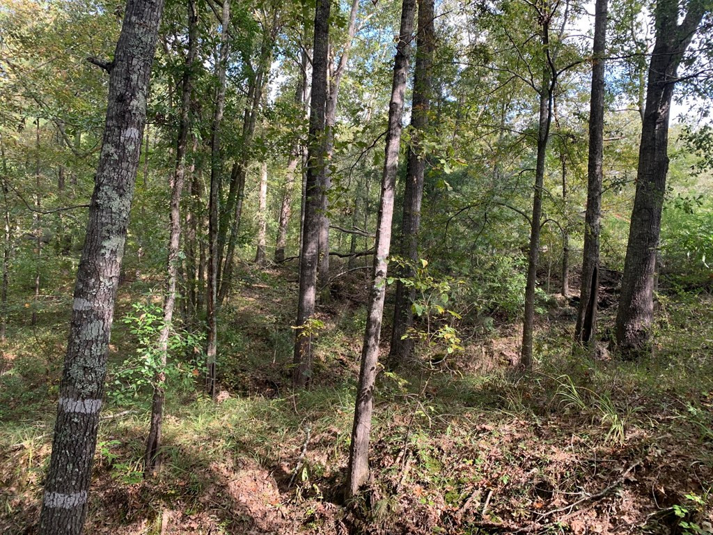 1109 White Road Natchez, MS 39120 - Photo 29 of 30 Photo 29
