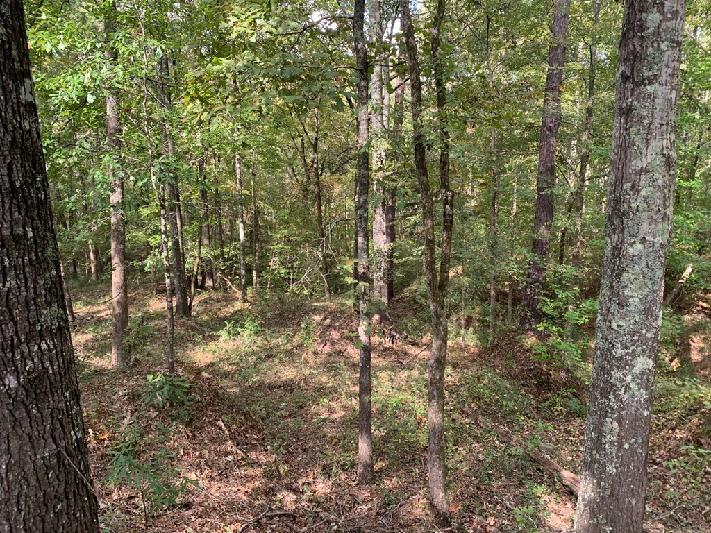 1109 White Road Natchez, MS 39120 - Photo 30 of 30 Photo 30