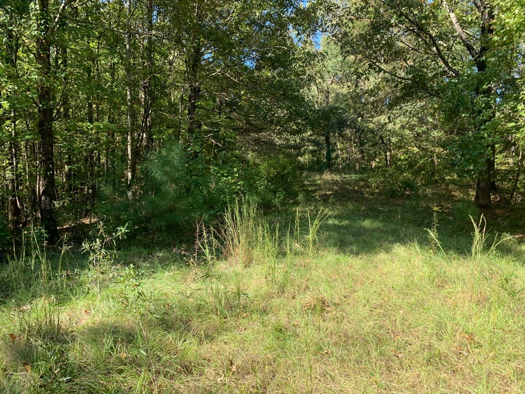 1109 White Road Natchez, MS 39120 - Photo 4 of 30 Photo 4