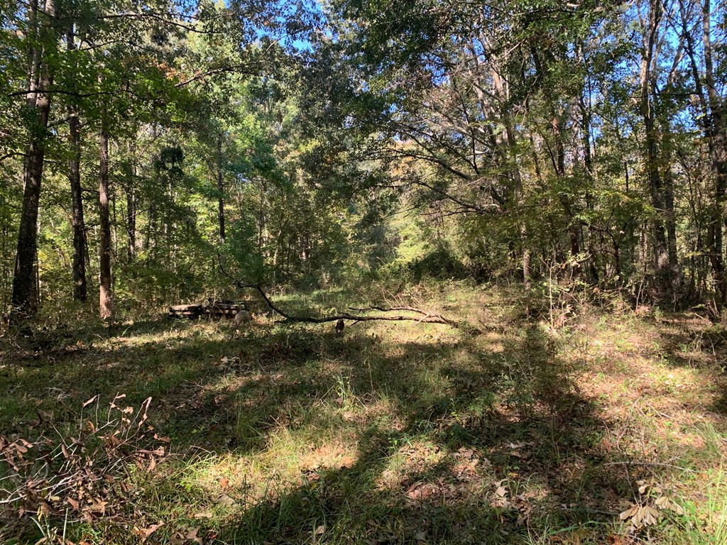 1109 White Road Natchez, MS 39120 - Photo 6 of 30 Photo 6