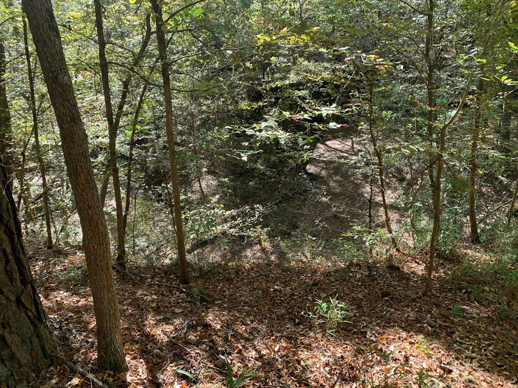 1109 White Road Natchez, MS 39120 - Photo 10 of 30 Photo 10