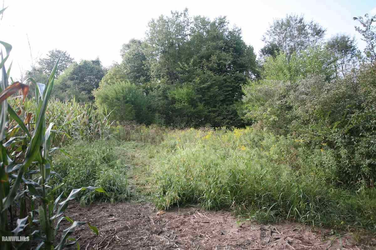 4201 South Rodden Road Hanover, IL 61041 - Photo 15 of 16 Gallery Image 15