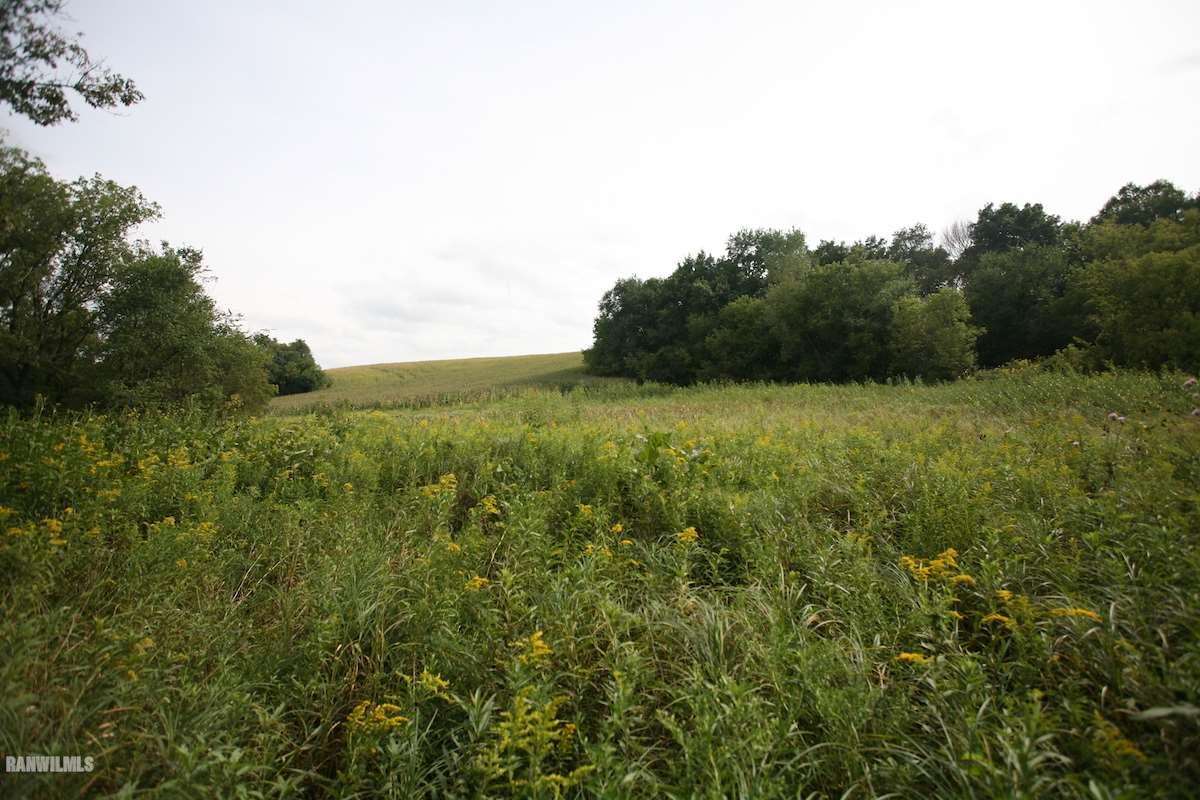 4201 South Rodden Road Hanover, IL 61041 - Photo 8 of 16 Gallery Image 8