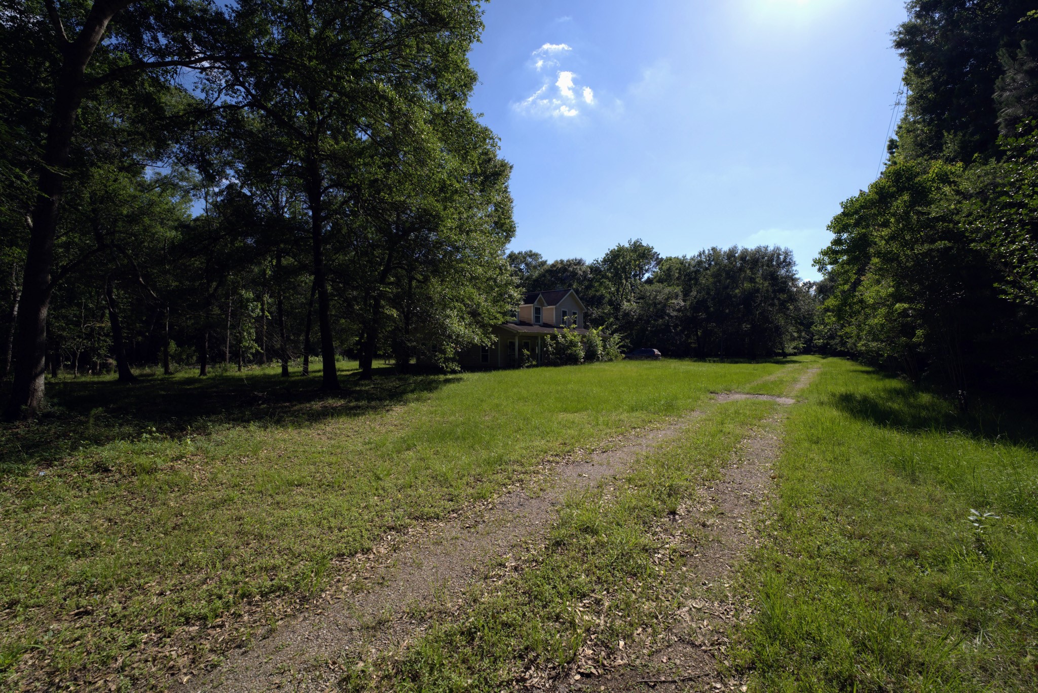 3309 Honea Egypt Road Montgomery, TX 77316 - Photo 4 of 40