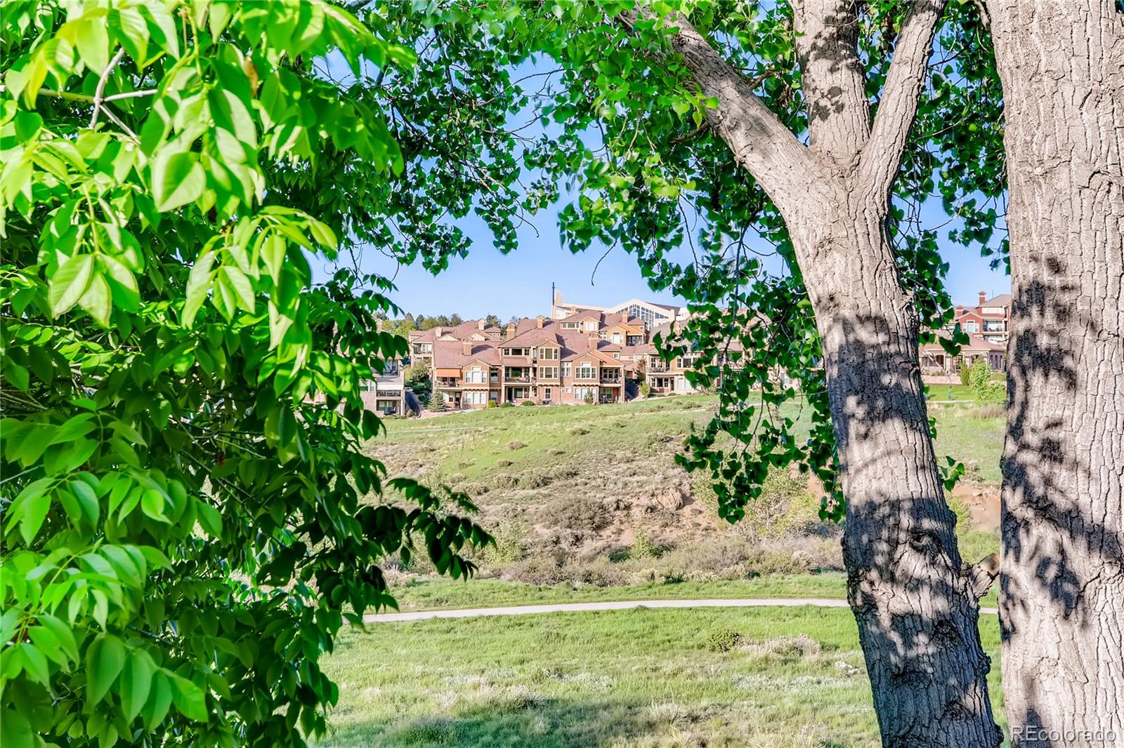 2883 East Ravenhill Circle Highlands Ranch, CO 80126 - Photo 19 of 25