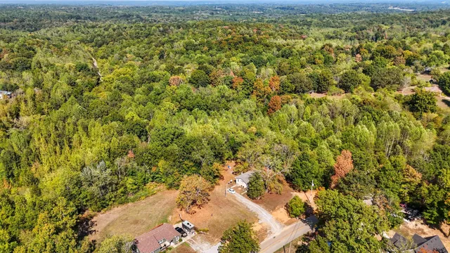 a view of a lush green forest with lots of trees