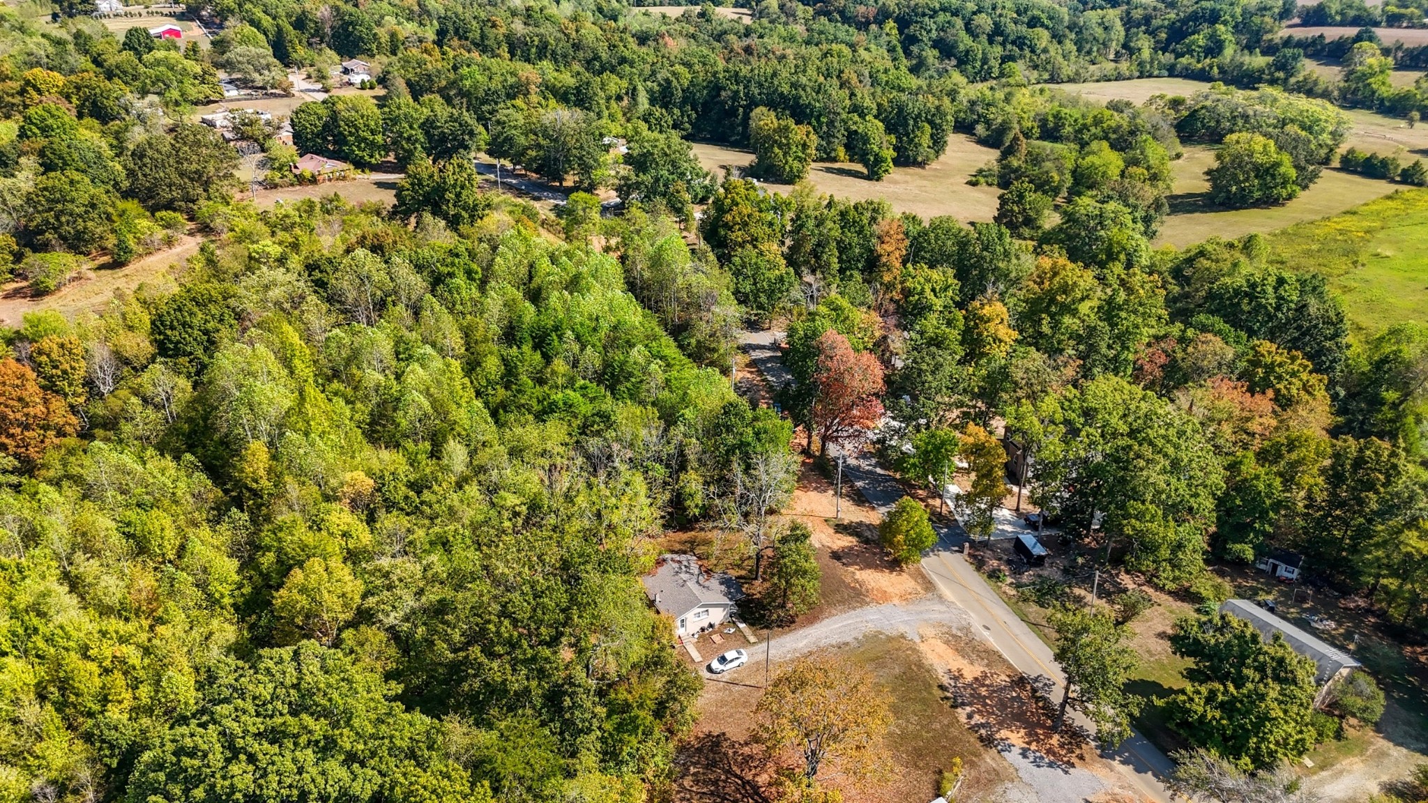 833 Grays Chapel Road Southside, TN 37171 - Photo 23 of 23 a view of a lush green forest with lots of trees