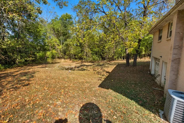 a view of a yard with plants and trees