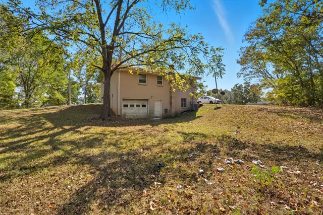 a view of a yard with large tree