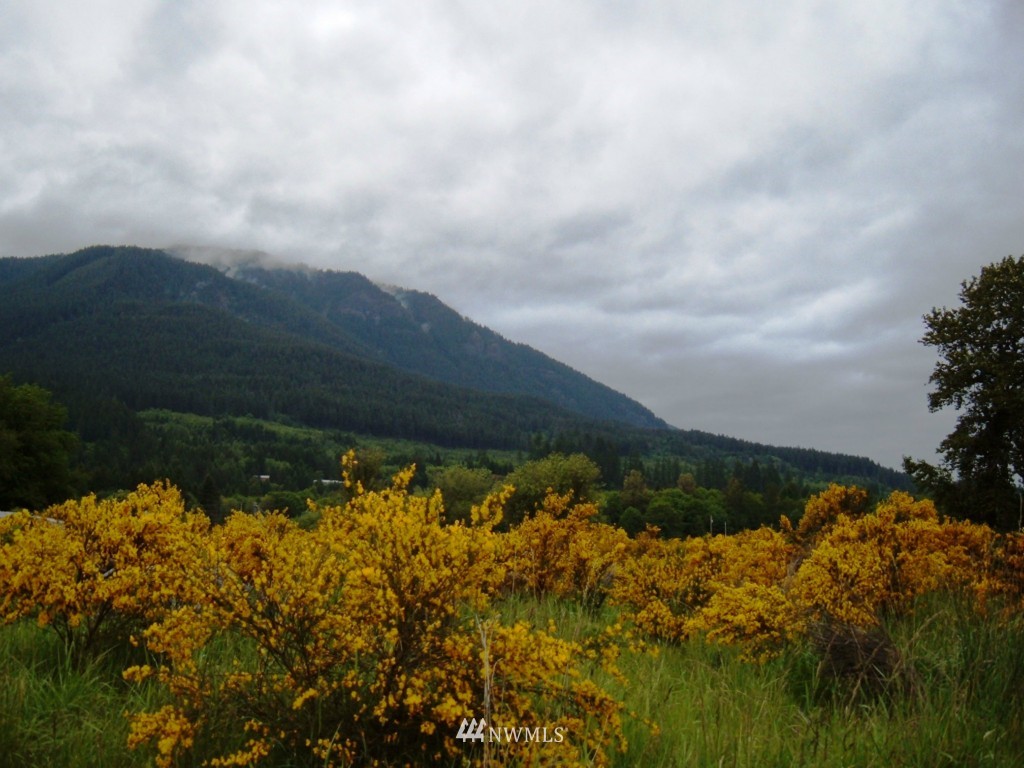 -xxx River Ranch Road Randle, WA 98377 - Photo 1 of 1 Gallery Image 1