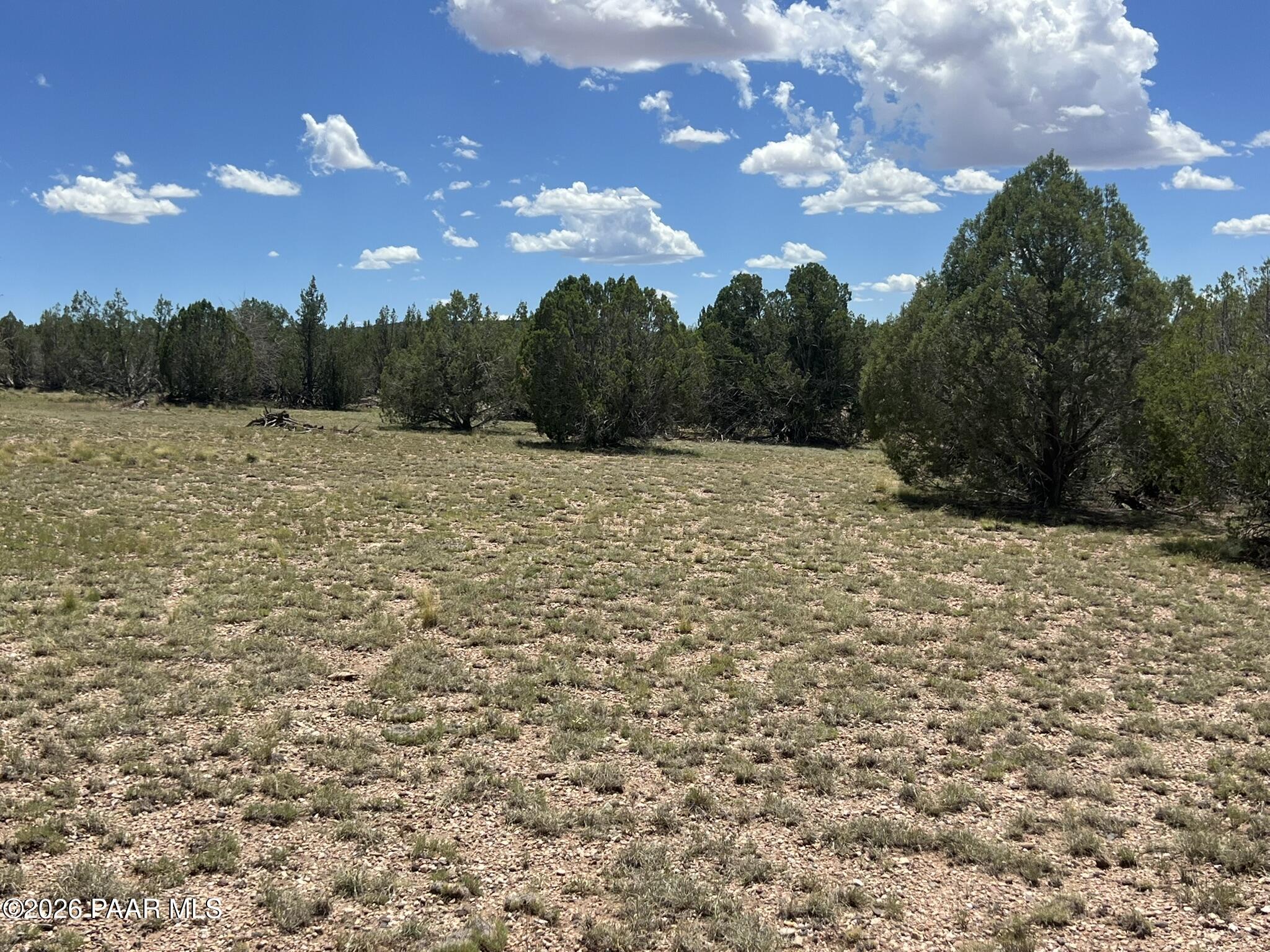 70 Arizona Road Ash Fork, AZ 86320 - Photo 10 of 11 IMG_0187