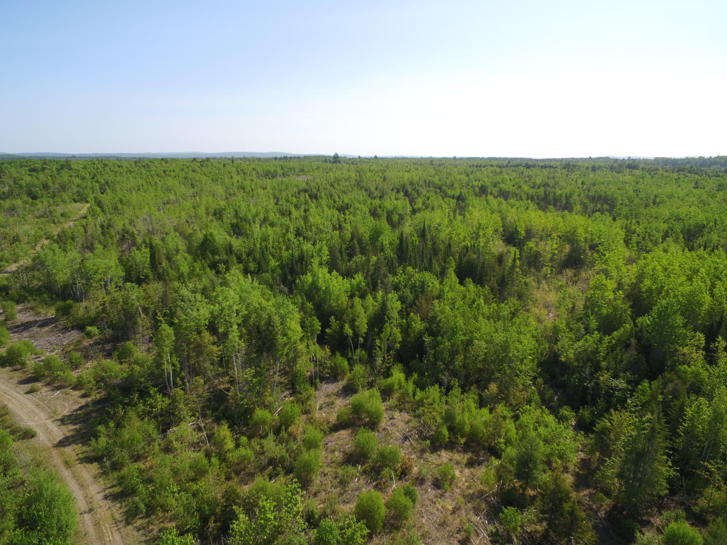 Off Goulds Ridge Road Passadumkeag, ME 04475 - Photo 16 of 22 DJI_0011