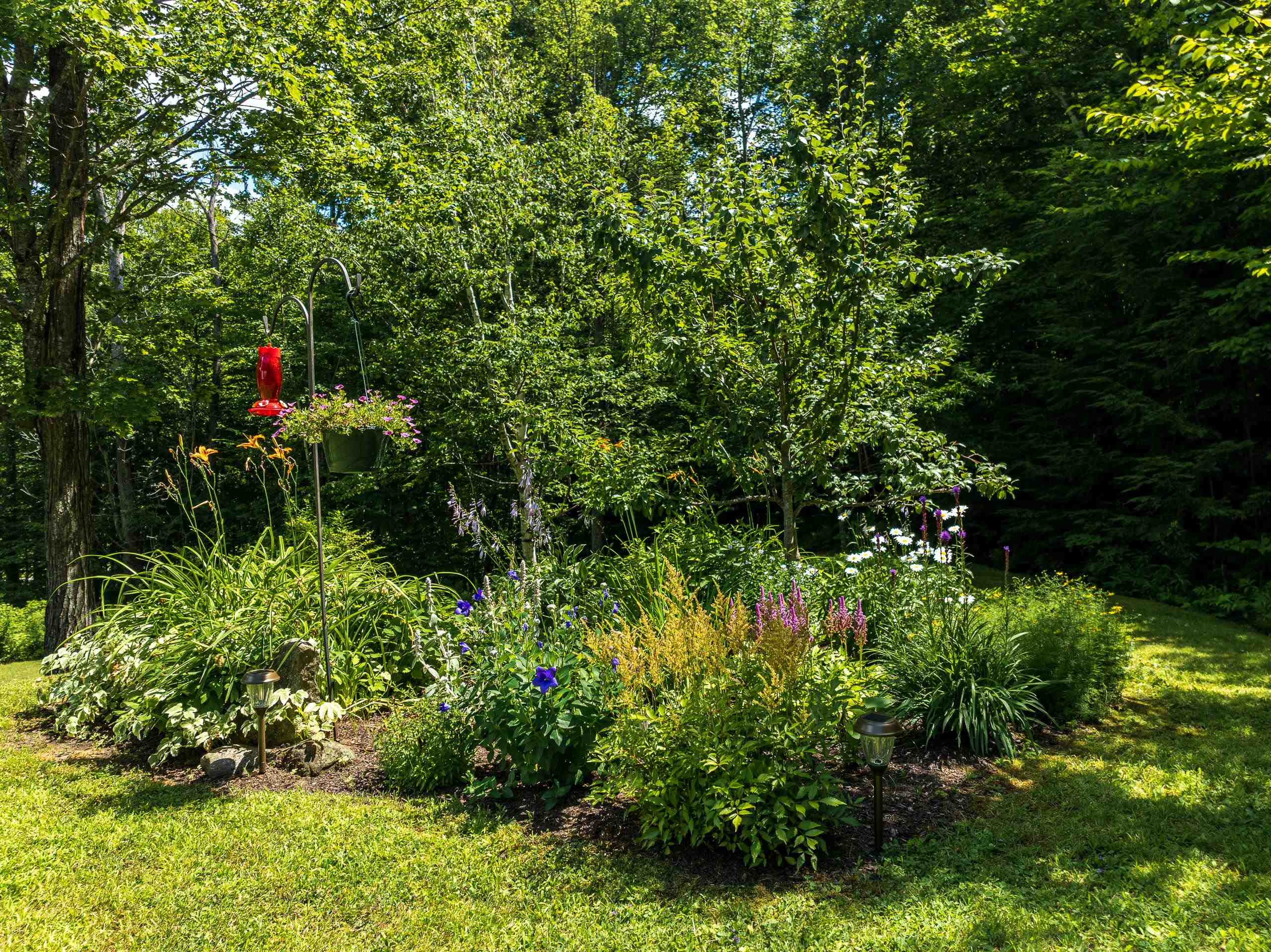 45 East Clement Road Bridgewater, NH 03264 - Photo 39 of 45 Gallery Image 39