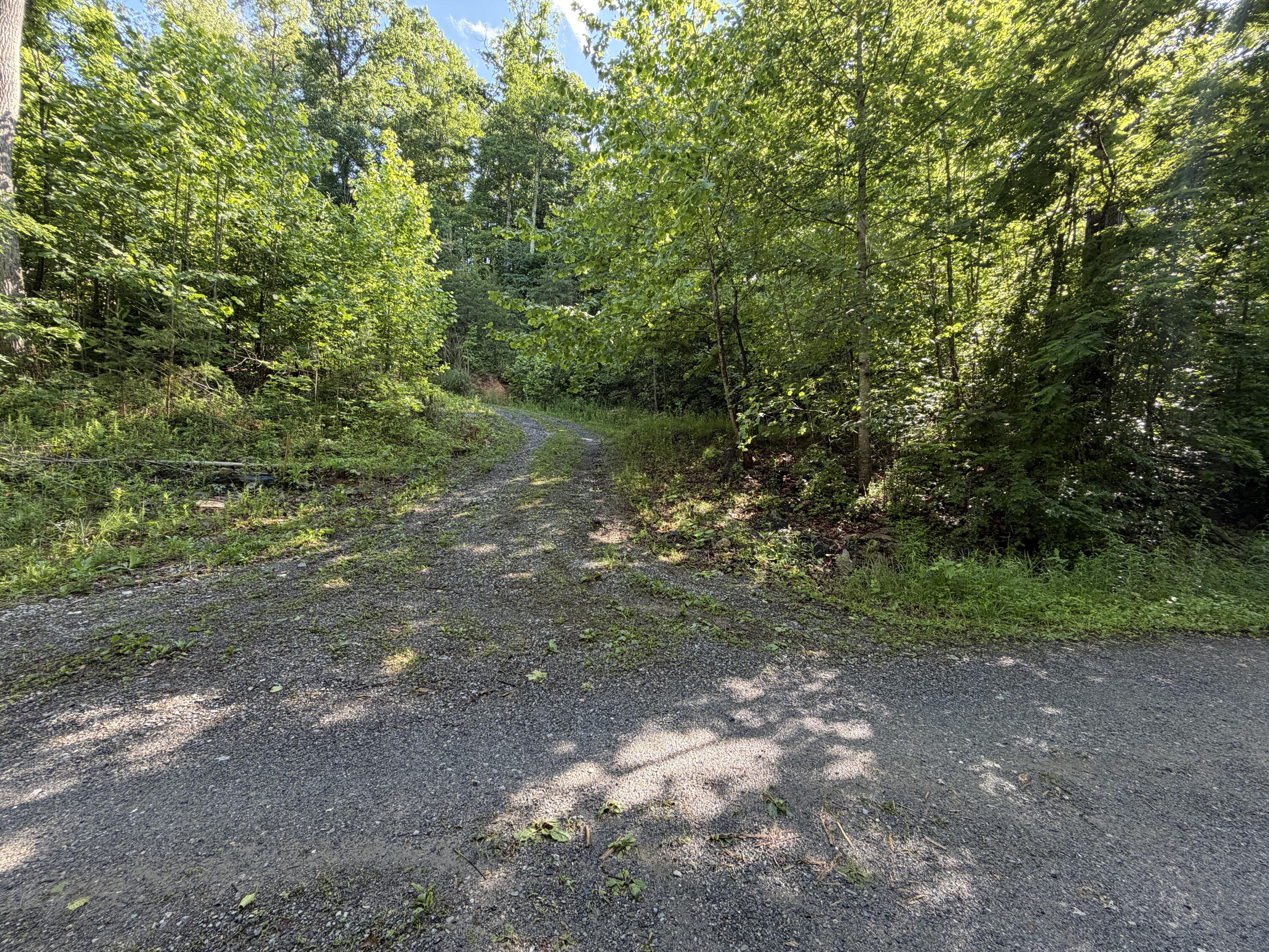 0 Lake Road Troutville, VA 24175 - Photo 2 of 18 a big yard with lots of green space and plants