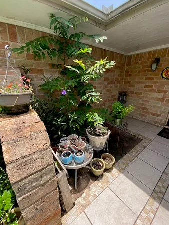 a view of a backyard with chair and potted plants