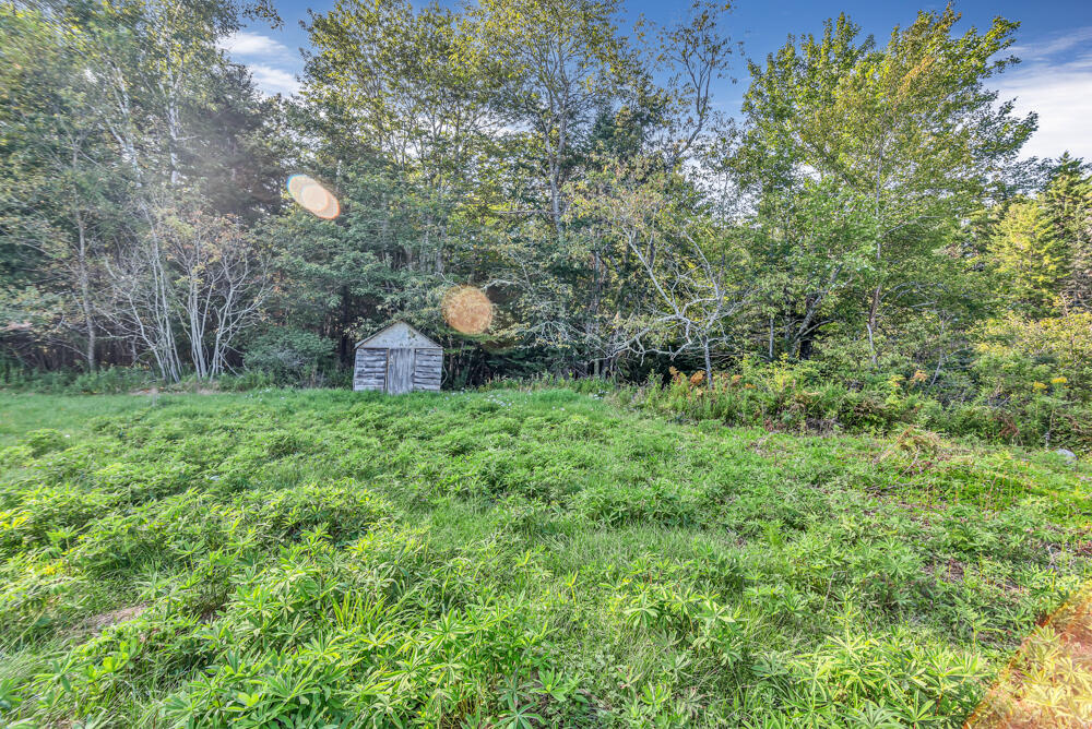 560 The Shore Road Castine, ME 04421 - Photo 38 of 43 560 The Shore Rd 33 of 45