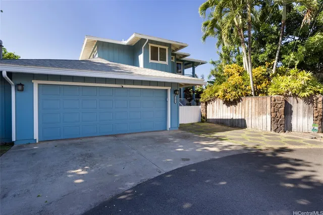 a picture of a plant