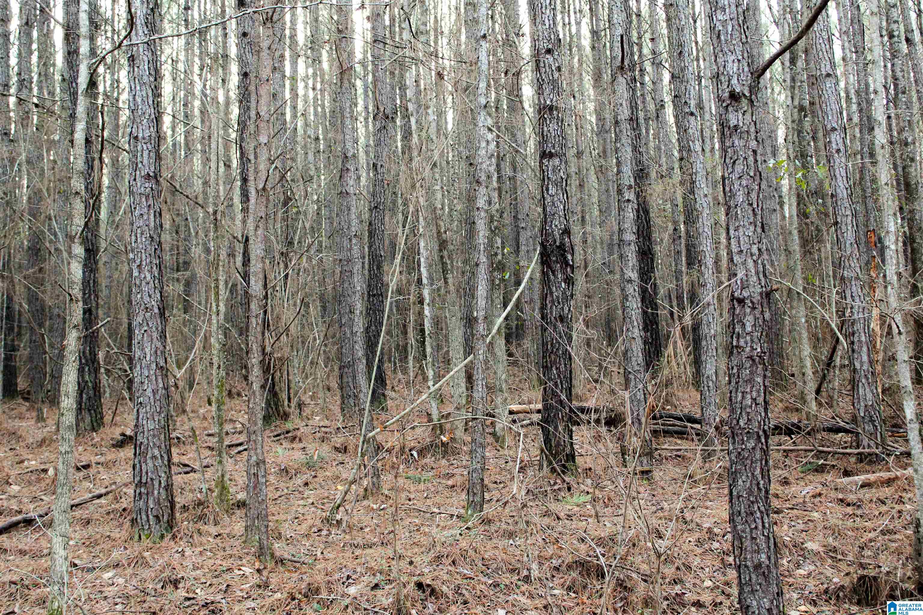 0 Parsons Loop Road Mulga, AL 35118 - Photo 15 of 38