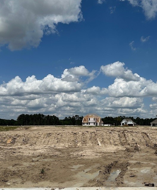 32415 Poplar Grove Ln Spring Spring, TX 77386 - Photo 6 of 6 a view of swimming pool and mountain