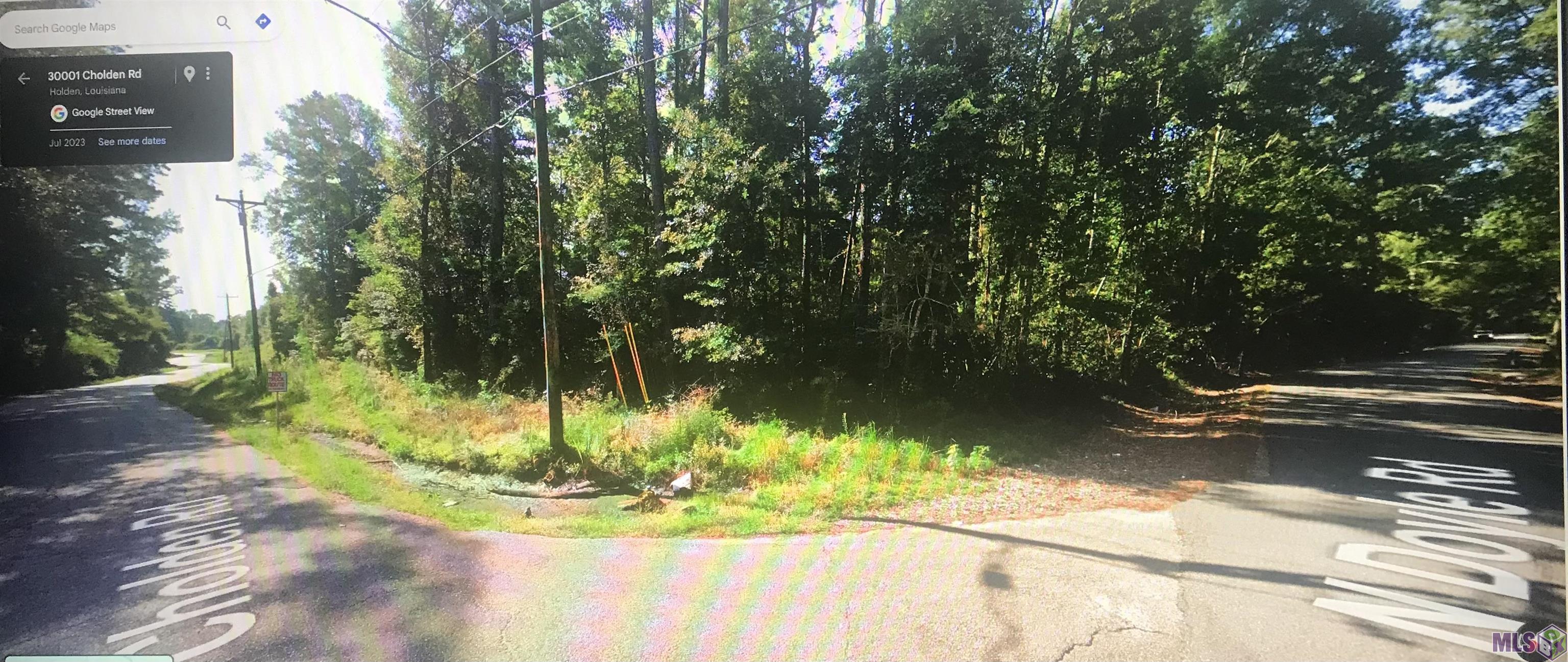 8-9 North Doyle Road Holden, LA 70744 - Photo 3 of 3