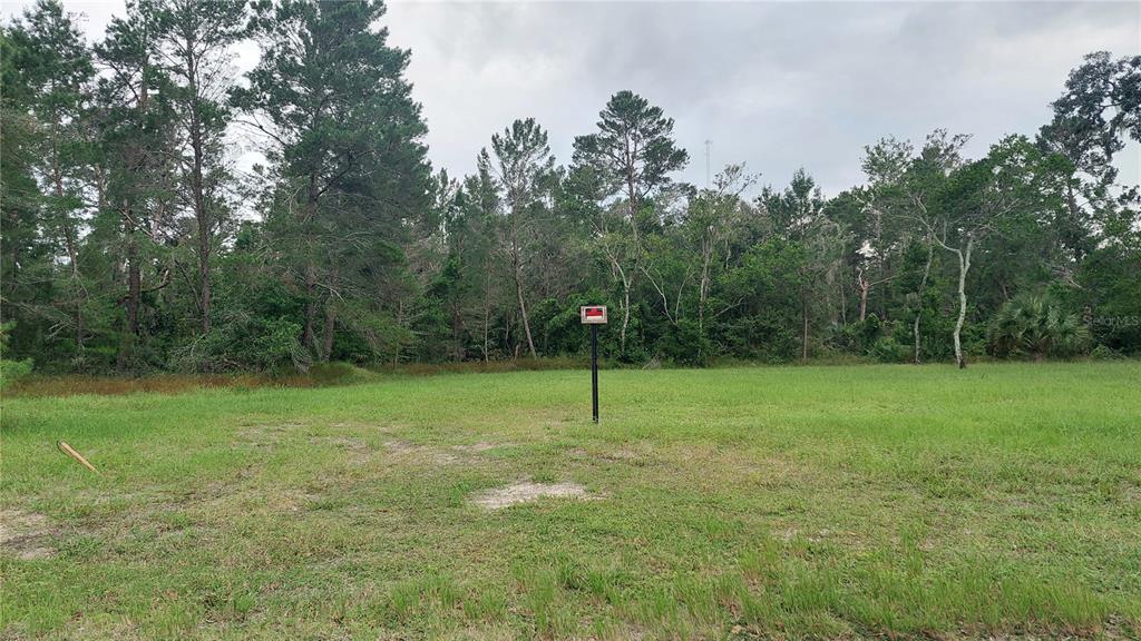 11922 Randee Road New Port Richey, FL 34654 - Photo 1 of 1 Gallery Image 1