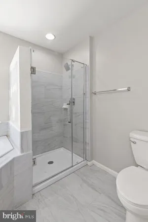 a bathroom with a shower and a toilet
