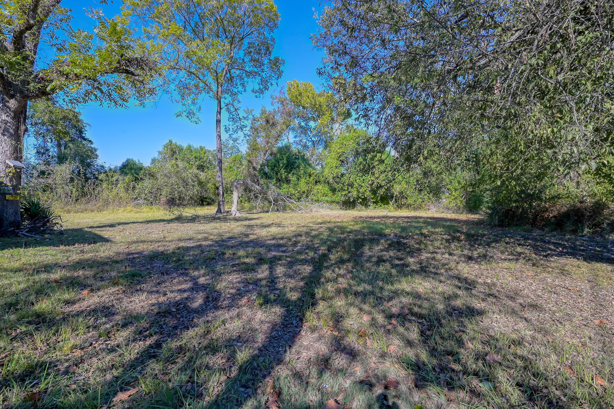 26115 West Hardy Road Spring, TX 77373 - Photo 4 of 7 a big yard with lots of green space
