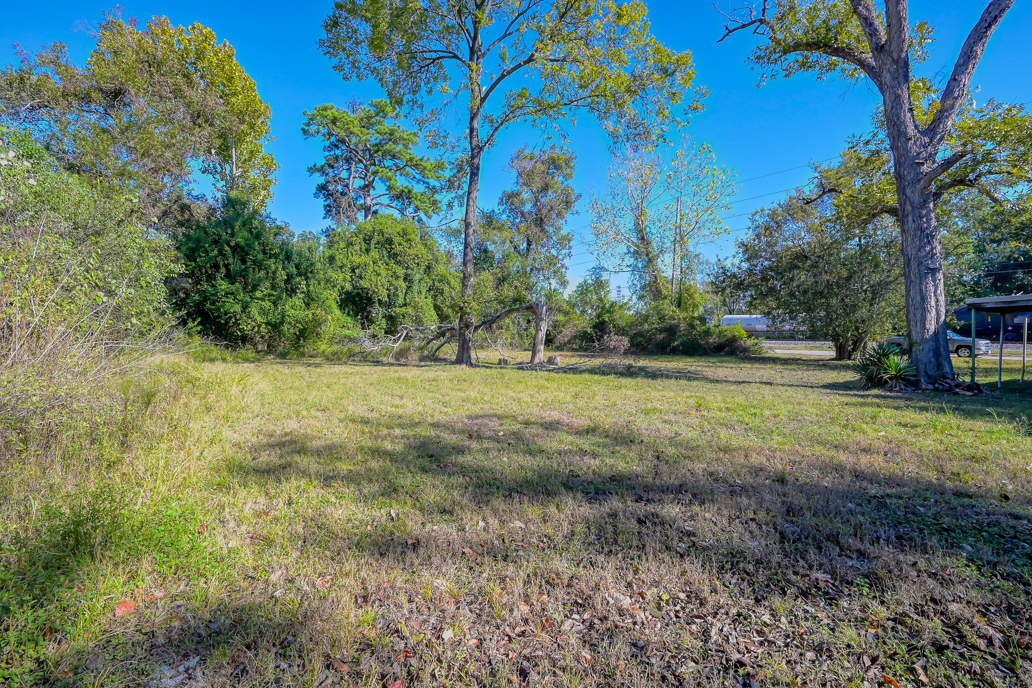 26115 West Hardy Road Spring, TX 77373 - Photo 7 of 7 a view of outdoor space with trees all around