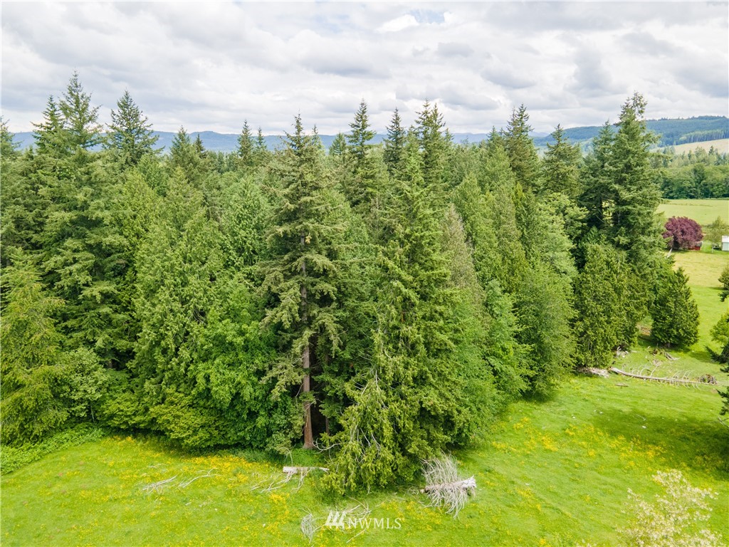20777 West Bulson Road Mount Vernon, WA 98274 - Photo 38 of 40 Gallery Image 38