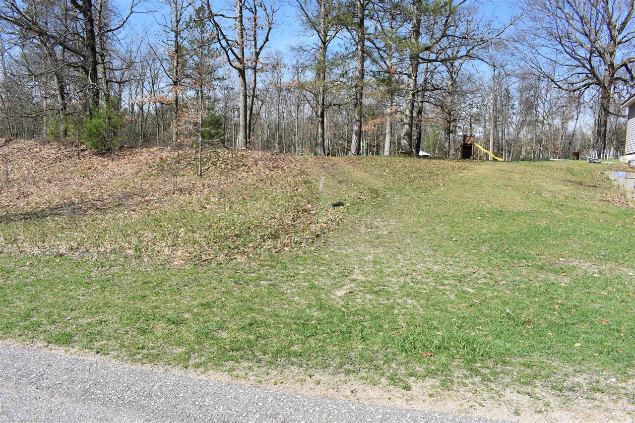 0 South Walhalla Road Fountain, MI 49410 - Photo 7 of 11