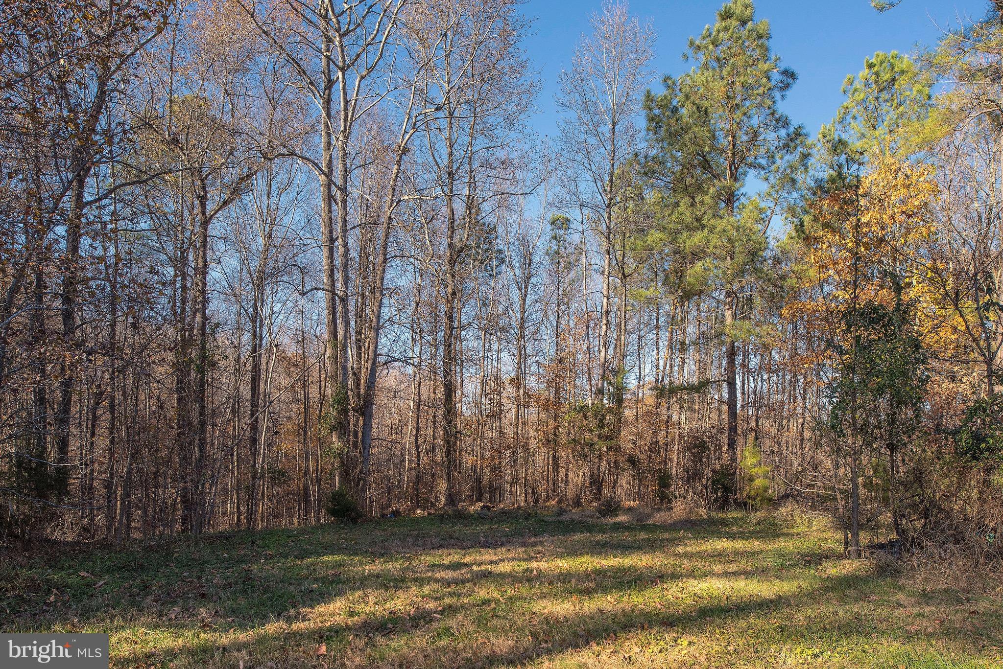 14289 Poplar Neck Road King George, VA 22485 - Photo 22 of 26 Exterior (General)