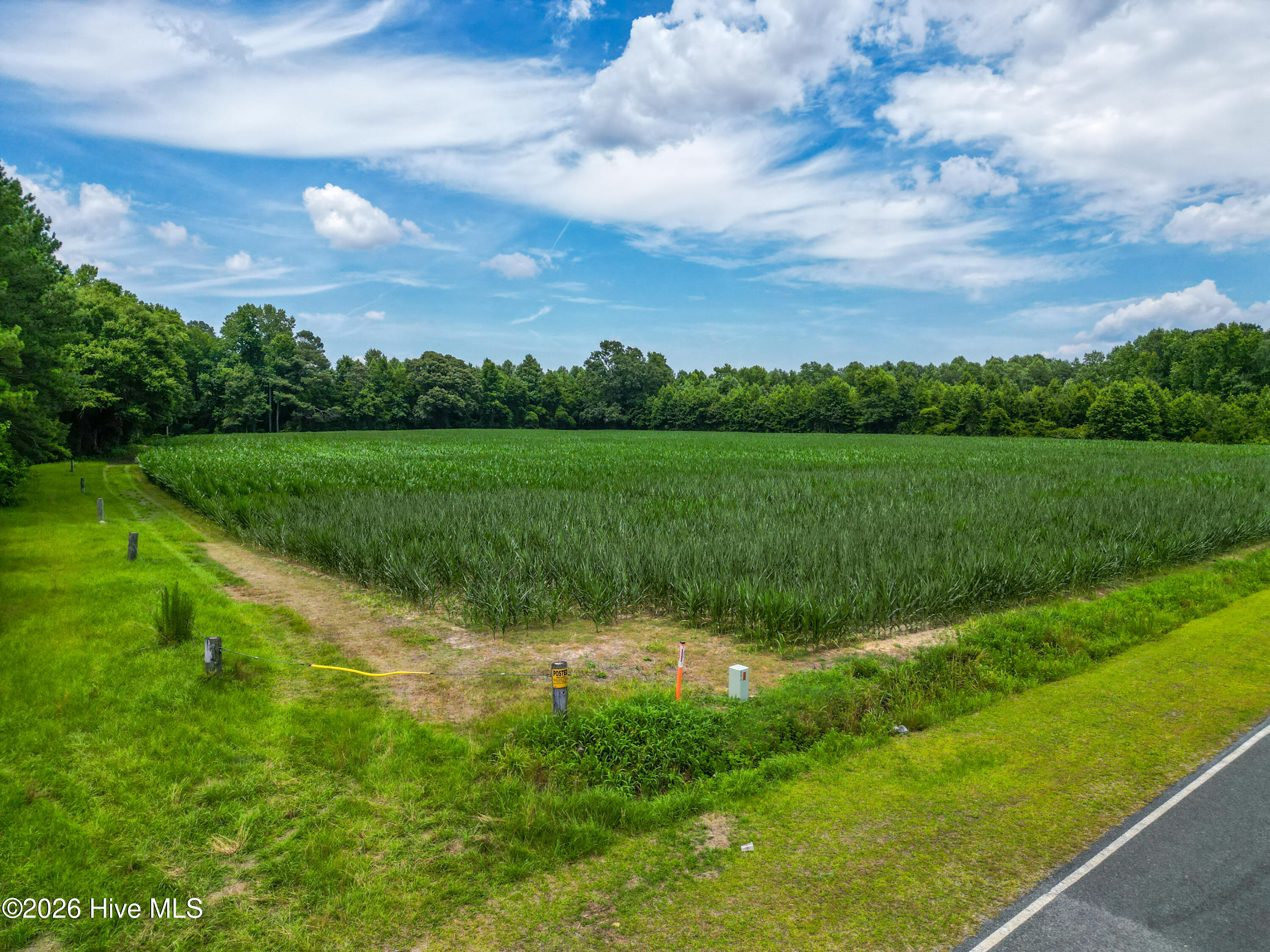 Tbd Farmers Union Road Clarkton, NC 28433 - Photo 4 of 13