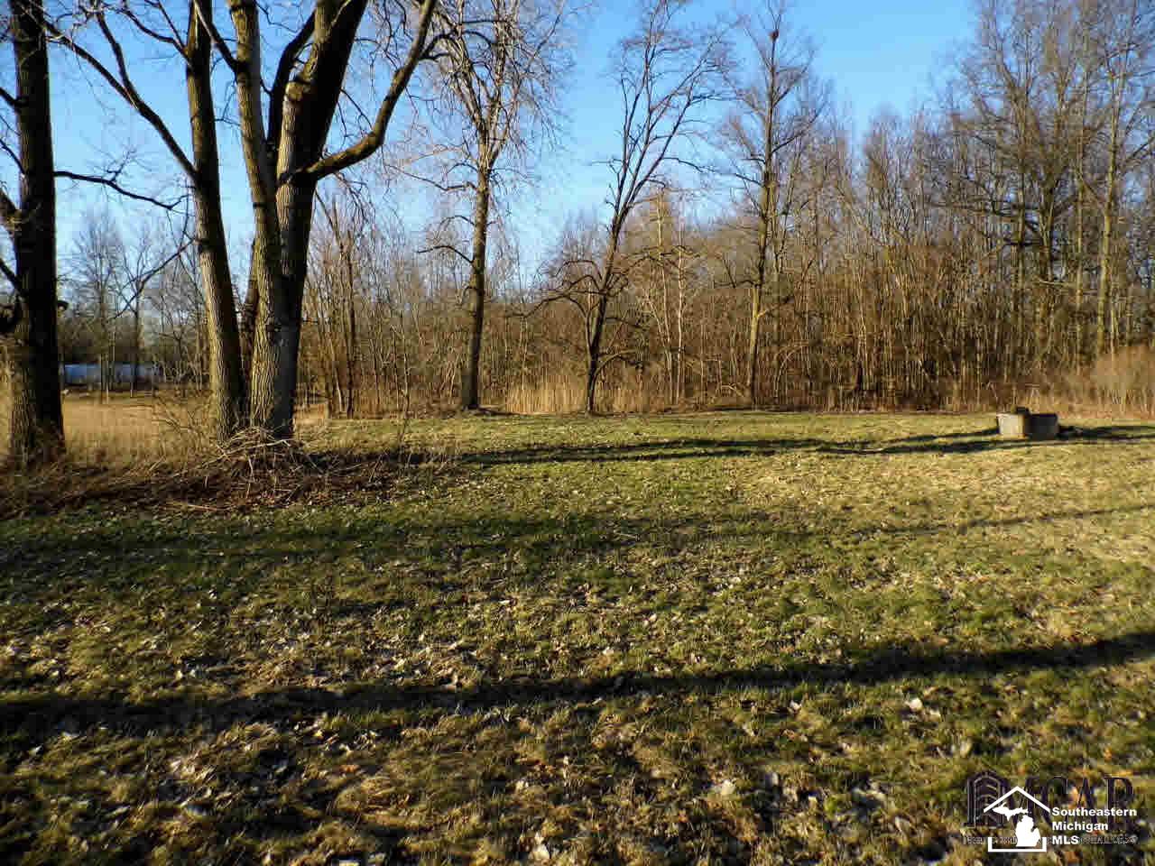 49032 Arkona Road Belleville, MI 48111 - Photo 14 of 17