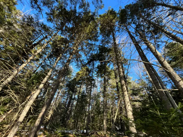 $299,000 | 0 High Street, Peru, ME 04290