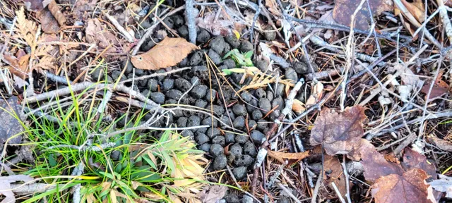 $299,000 | 0 High Street, Peru, ME 04290