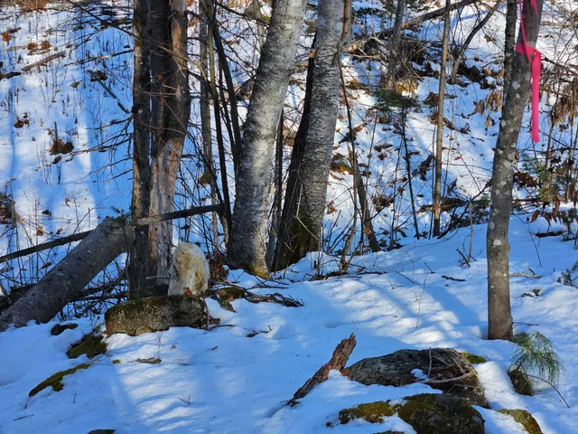 $299,000 | 0 High Street, Peru, ME 04290