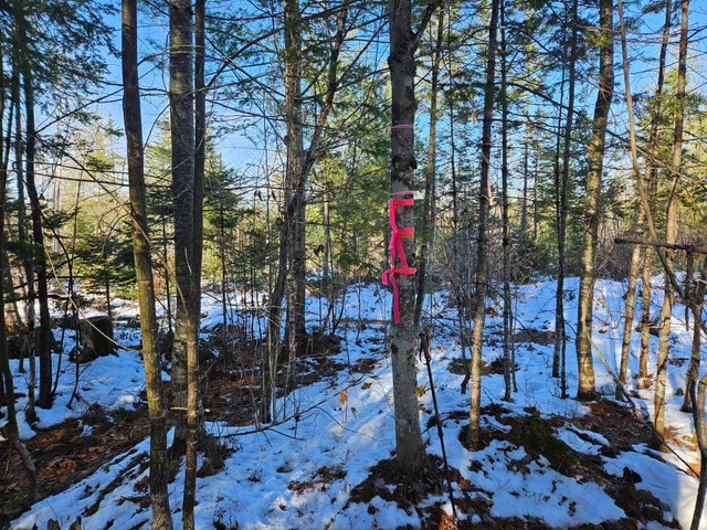 $299,000 | 0 High Street, Peru, ME 04290