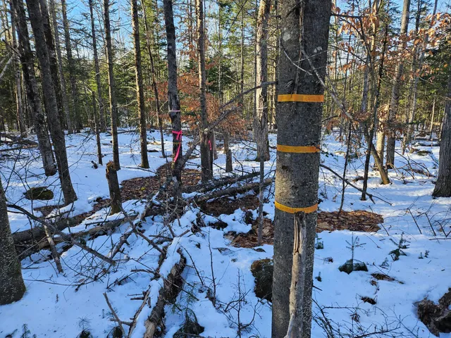 $299,000 | 0 High Street, Peru, ME 04290