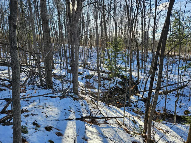 $299,000 | 0 High Street, Peru, ME 04290